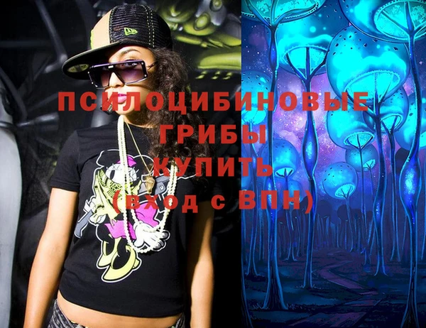 Альфа ПВП Елизово