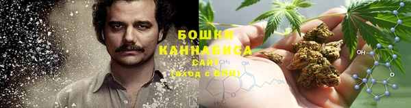 2c-b Пересвет