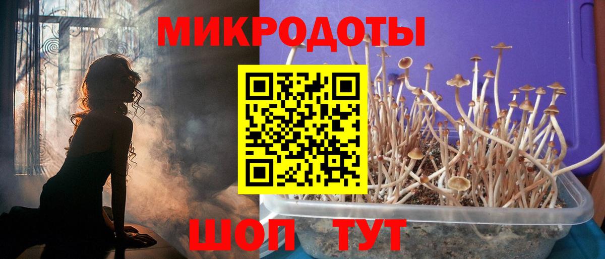 Кушва  Галлюциногенные грибы прущие грибы  Галлюциногенные грибы мицелий  Вход с VPN 