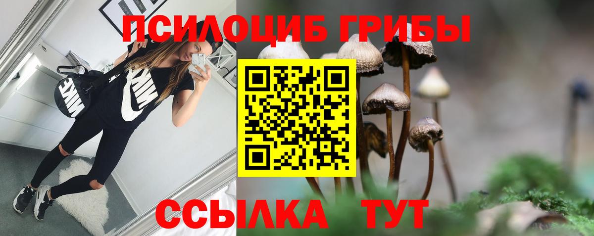 Галлюциногенные грибы прущие грибы  Галлюциногенные грибы Magic Shrooms  что такое   Кушва 