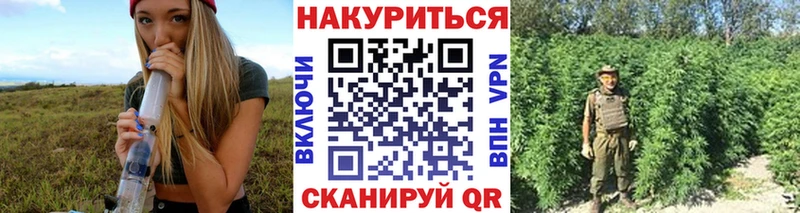 Каннабис планчик  Кушва 
