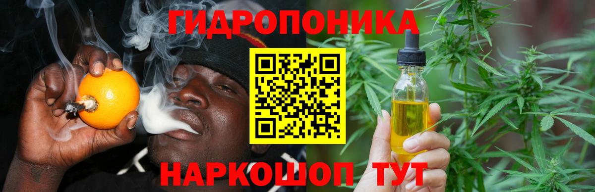 Бошки Шишки план Кушва
